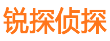 龙子湖侦探公司